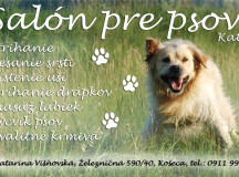 Salón pre psov v Košeci